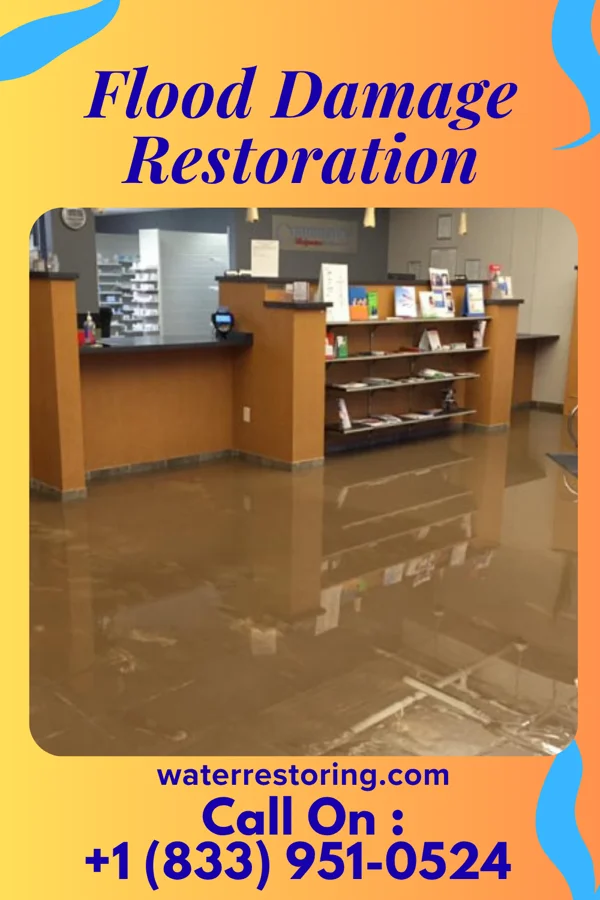 Flood Damage Restoration in Sylva, NC